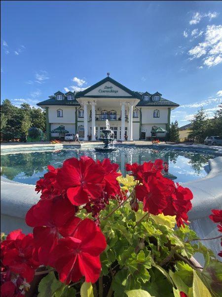 Hotel Dwor Czarneckiego Porosły Exteriér fotografie